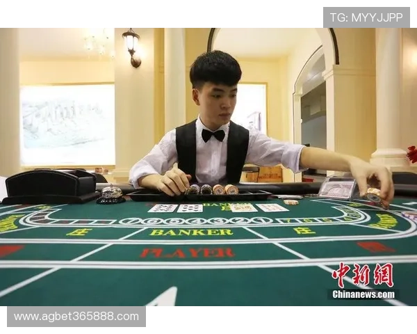 365日博开户实现全年无休的专业博彩服务体验